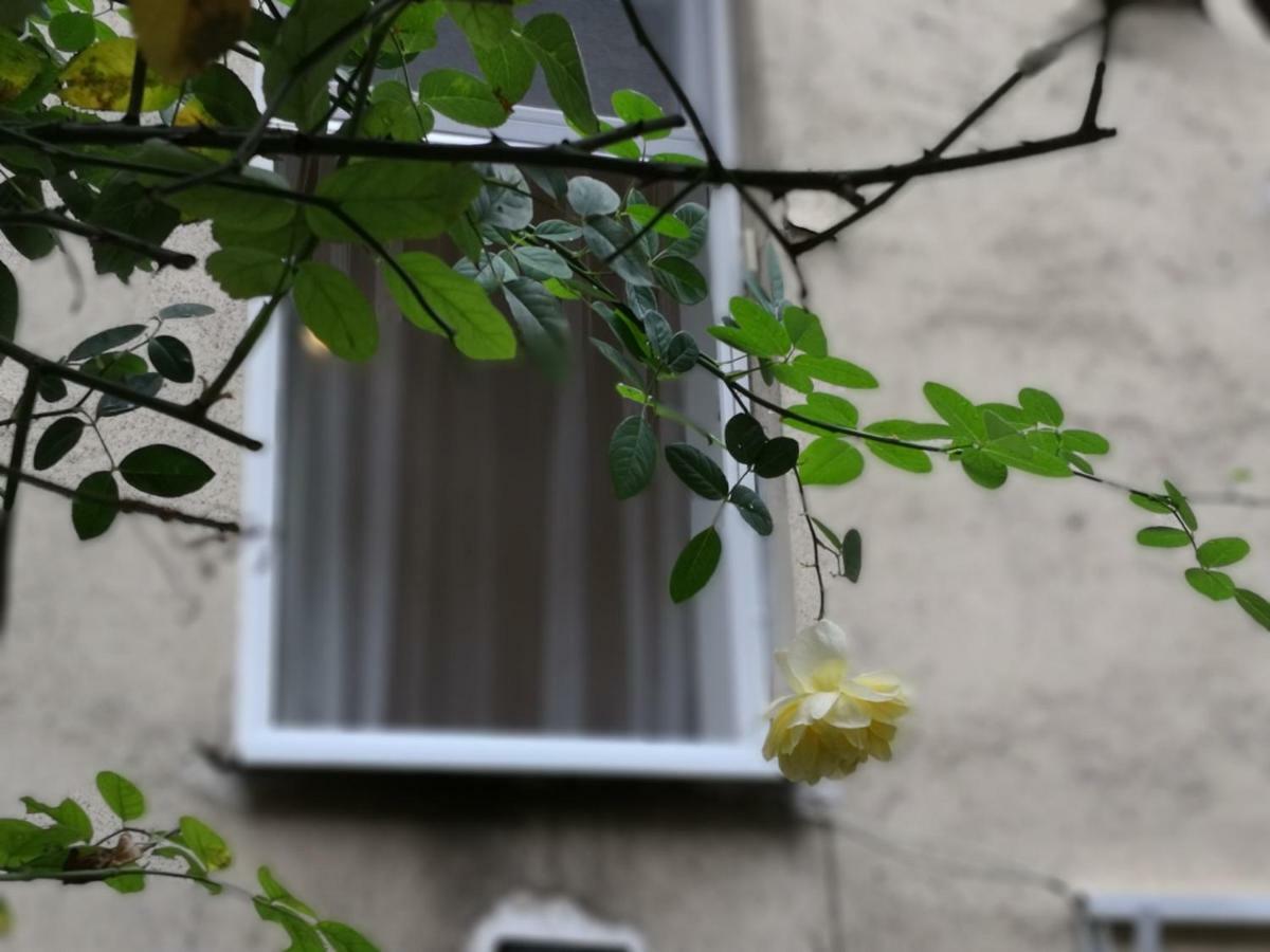 Diamond Residence - Bimbam Bajza Budapest Kültér fotó